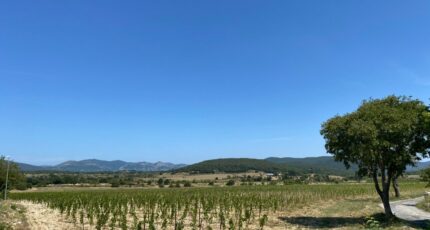 Brissac Terrain à bâtir - 2337002-3243annonce220250605SPcvz.jpeg Maisons Open