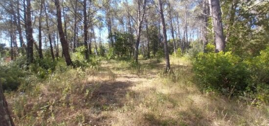 Terrain à bâtir à Bagnols-en-Forêt, Provence-Alpes-Côte d'Azur