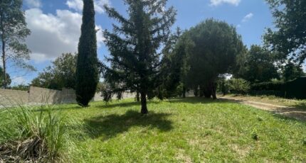 Ayguesvives Terrain à bâtir - 2337381-11450annonce220251113Om26F.jpeg Maisons Open