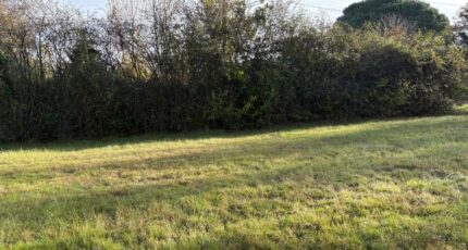 Lapeyrouse-Fossat Terrain à bâtir - 2338582-11356annonce4202511147T3lr.jpeg Maisons Open