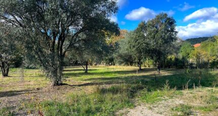 Les Matelles Terrain à bâtir - 2340529-3243annonce3202507258hJbx.jpeg Maisons Open