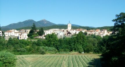 Maureillas-las-Illas Terrain à bâtir - 2340634-4671annonce1202511177B8To.jpeg Maisons Open