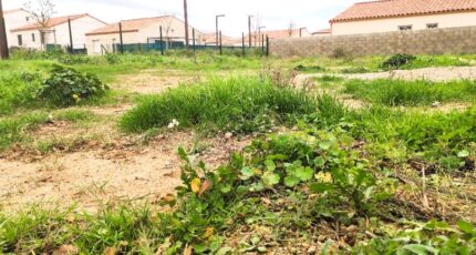 Pouzolles Terrain à bâtir - 2304650-11018annonce220250623s7Qhp.jpeg Maisons Open