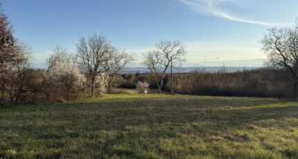 Labécède-Lauragais Terrain à bâtir - 2341602-10986annonce120251118kPAyr.jpeg Maisons Open