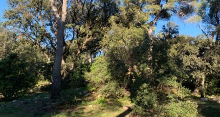 Martigues Terrain à bâtir - 2308757-7060annonce320250626h93eF.jpeg Maisons Open