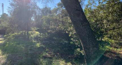 Martigues Terrain à bâtir - 2308757-7060annonce420250626xrQBI.jpeg Maisons Open