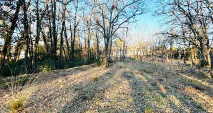 Trans-en-Provence Terrain à bâtir - 2343109-4529annonce22025111920Mba.jpeg Maisons Open