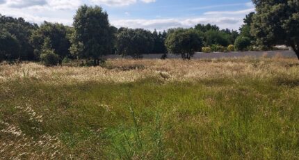 Caumont-sur-Durance Terrain à bâtir - 2343341-695annonce1202511190lZt8.jpeg Maisons Open