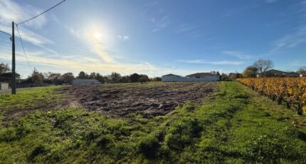 Cussac-Fort-Médoc Terrain à bâtir - 2344478-10624annonce120251120lJqN8.jpeg Maisons Open