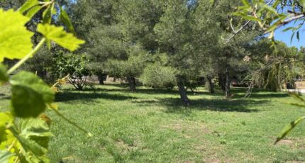 Gonfaron Terrain à bâtir - 2301325-4590annonce220251010m8Dtd.jpeg Maisons Open