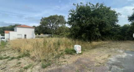 La Bernerie-en-Retz Terrain à bâtir - 2345154-11110annonce220251121OxGdZ.jpeg Maisons Open