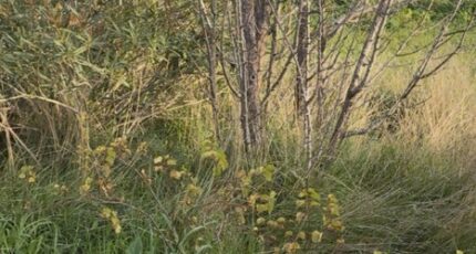 Martigues Terrain à bâtir - 2347320-7054annonce220260108uZ4Lv.jpeg Maisons Open