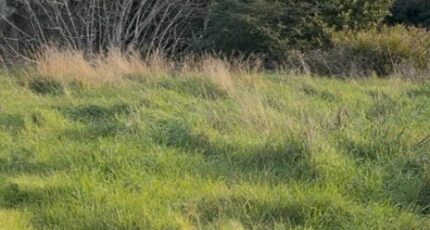 Martigues Terrain à bâtir - 2347320-7054annonce320260108xldJw.jpeg Maisons Open