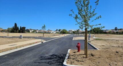 Nissan-lez-Enserune Terrain à bâtir - 2347335-11018annonce320250804ifsTf.jpeg Maisons Open