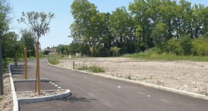 Sorgues Terrain à bâtir - 2315509-617annonce320250114oQwVO.jpeg Maisons Open