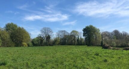 Villematier Terrain à bâtir - 2347738-3925annonce120251124aiNJv.jpeg Maisons Open