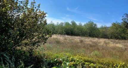 Théza Terrain à bâtir - 2348791-4671annonce120251125u69Hd.jpeg Maisons Open