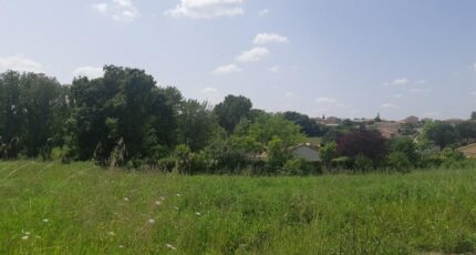 Castelnau-d'Estrétefonds Terrain à bâtir - 2305219-5202annonce120251014Za4qF.jpeg Maisons Open