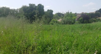 Castelnau-d'Estrétefonds Terrain à bâtir - 2305219-5202annonce220251014lHTHb.jpeg Maisons Open