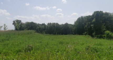 Castelnau-d'Estrétefonds Terrain à bâtir - 2305219-5202annonce320251014OuysP.jpeg Maisons Open