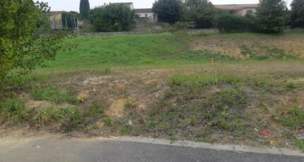 Castelnau-d'Estrétefonds Terrain à bâtir - 2314367-5202annonce420251022GaV90.jpeg Maisons Open