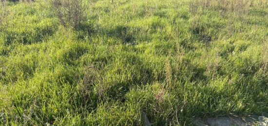 Terrain à bâtir à , Haute-Garonne