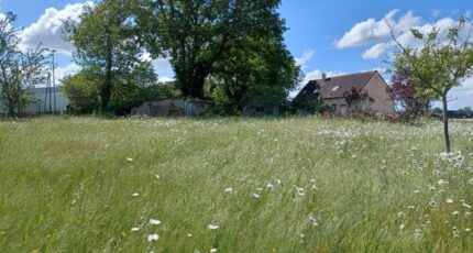 Joué-l'Abbé Terrain à bâtir - 2304860-3704annonce120251014mUumW.jpeg Maisons Open