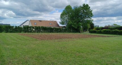 Mamers Terrain à bâtir - 2319645-3704annonce120250603n7g1u.jpeg Maisons Open