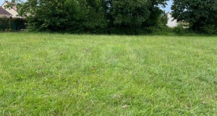 Doucelles Terrain à bâtir - 2319985-3704annonce120250527zTLgW.jpeg Maisons Open