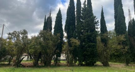 Malataverne Terrain à bâtir - 2294659-6150annonce22025100567oOW.jpeg Maisons Open