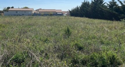 Pierrelatte Terrain à bâtir - 2311351-6150annonce220231221zqazK.jpeg Maisons Open