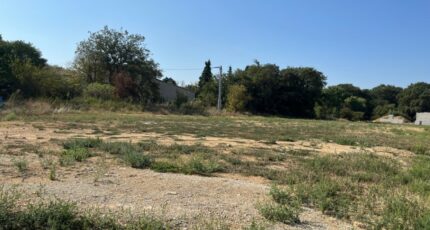 Allan Terrain à bâtir - 2318477-6150annonce12025102602iHs.jpeg Maisons Open