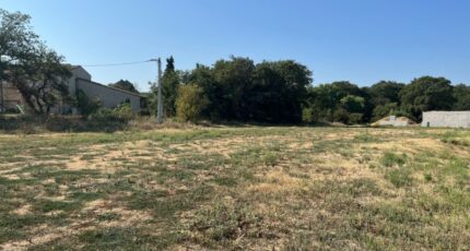 Allan Terrain à bâtir - 2318477-6150annonce520251026tE05s.jpeg Maisons Open