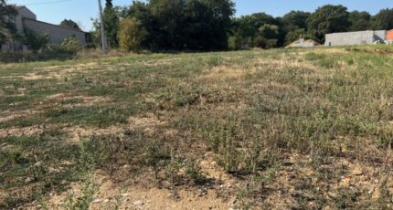 Allan Terrain à bâtir - 2318477-6150annonce4202510261Igc9.jpeg Maisons Open