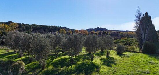 Terrain à bâtir à Mas-Blanc-des-Alpilles, Provence-Alpes-Côte d'Azur