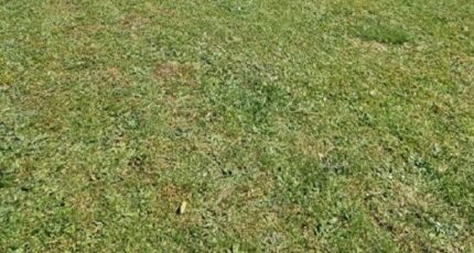 Bernay-Vilbert Terrain à bâtir - 2352609-5508annonce120251129TMc8a.jpeg Maisons Open