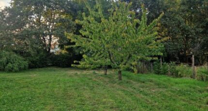 Pornic Terrain à bâtir - 2324470-11110annonce120260105f6ozx.jpeg Maisons Open