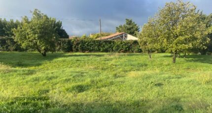 Mallemort Terrain à bâtir - 2323858-3969annonce220251031Uo2H4.jpeg Maisons Open