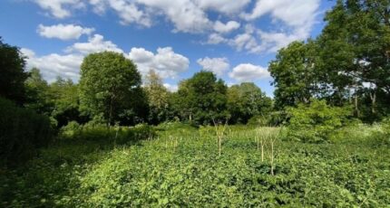 Vallangoujard Terrain à bâtir - 2328005-11688annonce1202511046GZSJ.jpeg Maisons Open