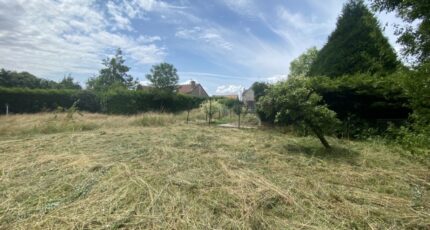 Lambres Terrain à bâtir - 2358249-11655annonce120251205BnI09.jpeg Maisons Open