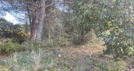 Alleins Terrain à bâtir - 2358453-3969annonce420251205ynmcv.jpeg Maisons Open