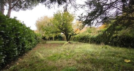 Donzère Terrain à bâtir - 2324546-812annonce420251031KAAdD.jpeg Maisons Open