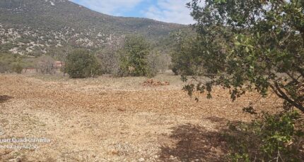 Sorgues Terrain à bâtir - 2326899-695annonce220251103JHAbS.jpeg Maisons Open