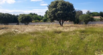 Saint-Saturnin-lès-Avignon Terrain à bâtir - 2359745-695annonce420251205DHLNb.jpeg Maisons Open