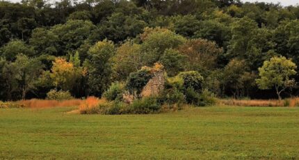 Leuc Terrain à bâtir - 2330515-10986annonce12025071669ftx.jpeg Maisons Open