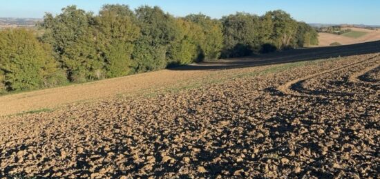 Terrain à bâtir à Montbrun-Lauragais, Occitanie