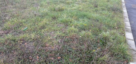 Terrain à bâtir à , Haute-Garonne