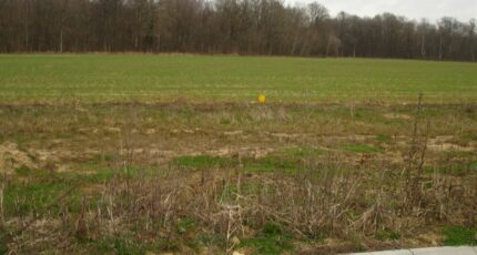 Longueville Terrain à bâtir - 2360245-4353annonce120251207X3XFN.jpeg Maisons Open