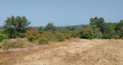 Fréjus Terrain à bâtir - 2361604-11157annonce1202512089s5E7.jpeg Maisons Open