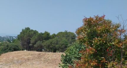 Fréjus Terrain à bâtir - 2361604-11157annonce320251208Jmofm.jpeg Maisons Open